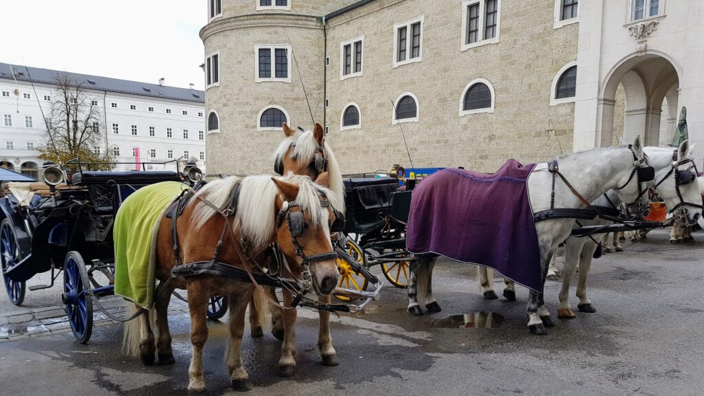 Salzburgo, una de las ciudades más bonitas de Austria 20171028 142210