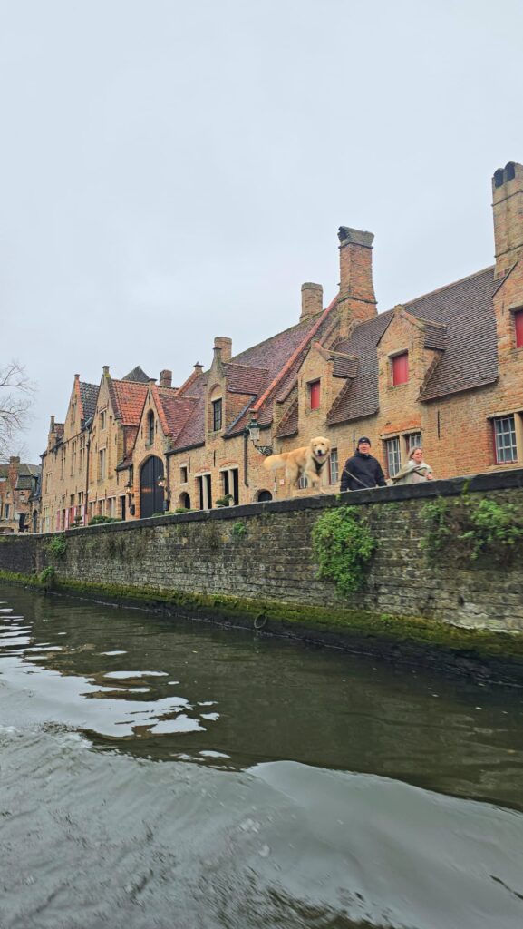 Brujas, una ciudad sacada de un cuento. whatsapp image 2026 06 21 at 22.04.31