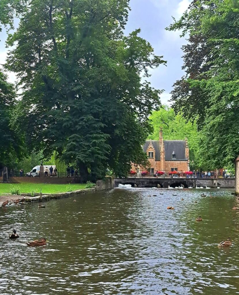 Paseo en barco por los canales de Brujas: 545619643 820445480508046 3876241697123895081 n