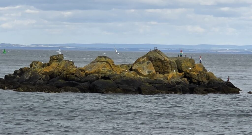 Has hecho un crucero por el Firth of Forth? whatsapp image 2026 07 01 at 17.58.51