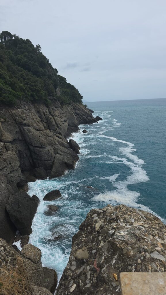 Portofino, un pequeño PARAÍSO italiano whatsapp image 2026 07 01 at 22.03.38