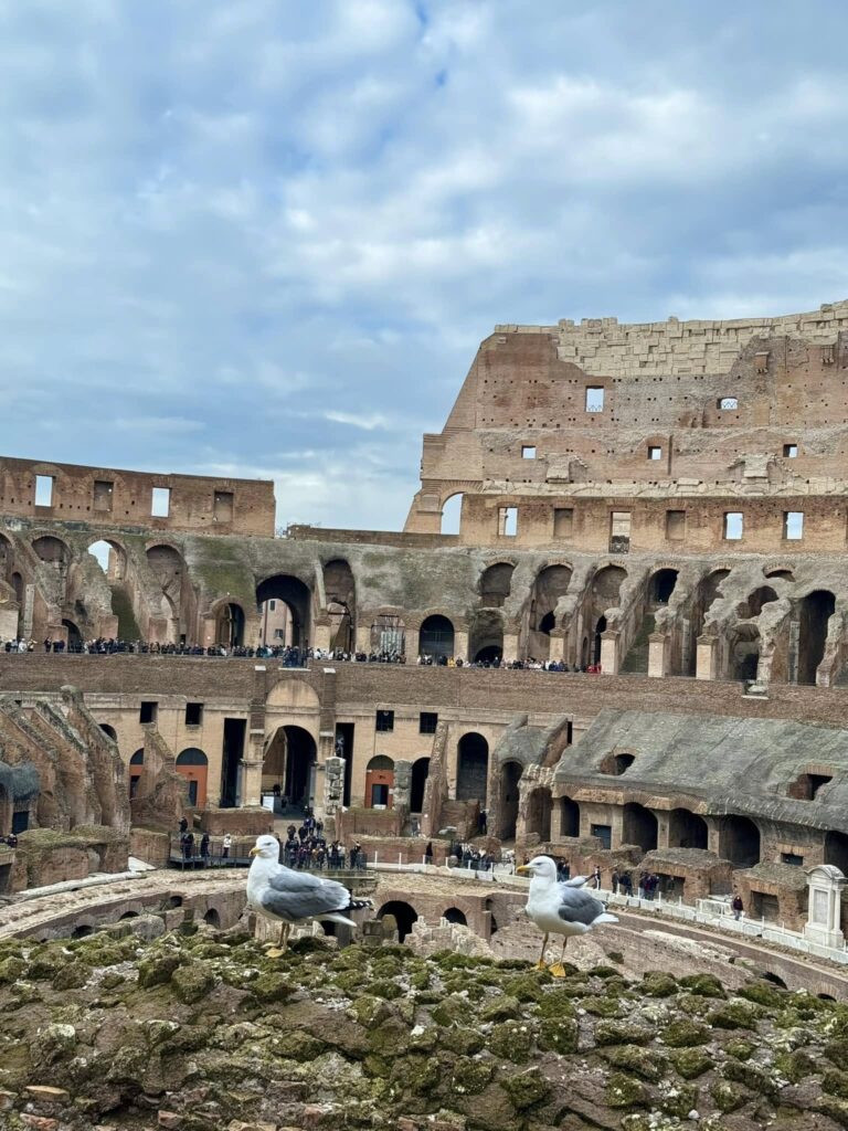 Visitar el Coliseo de Roma por dentro: 476798964 659483829937546 7480712583204944901 n