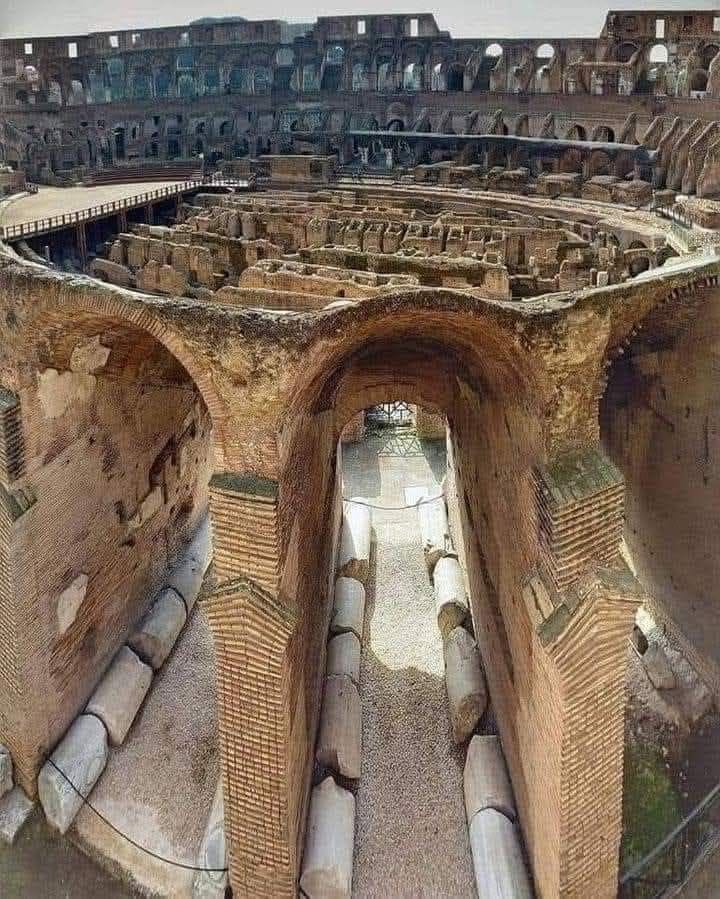 Visitar el Coliseo de Roma por dentro: 497882498 1244195591047365 2965905784903710954 n